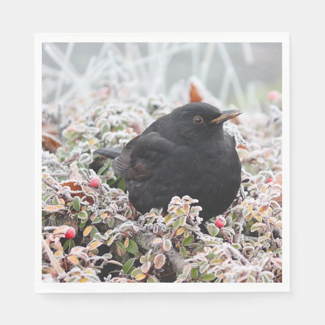 Winter Blackbird Serviette (Vorderseite)