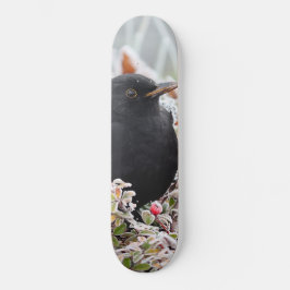 Winter Blackbird Skateboard