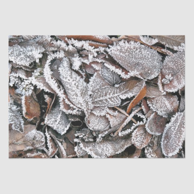 WINTER-BLÄTTER SEIDENPAPIER (Vorderseite)