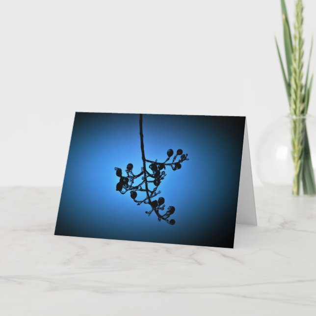 Winter Blau, Karte (Vorderseite)