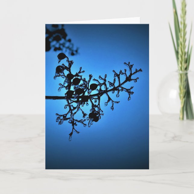 Winter Blau, Karte (Vorderseite)
