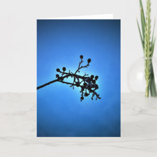 Winter Blau, Karte