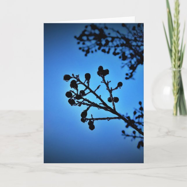 Winter Blau, Karte (Vorderseite)