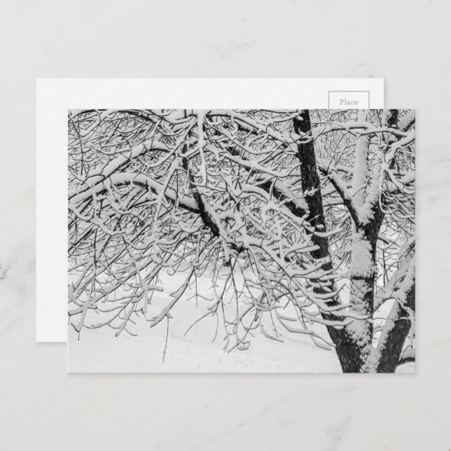 Winter Blizzard Storm Schneebaum Naturfotografie Postkarte (Vorne/Hinten)