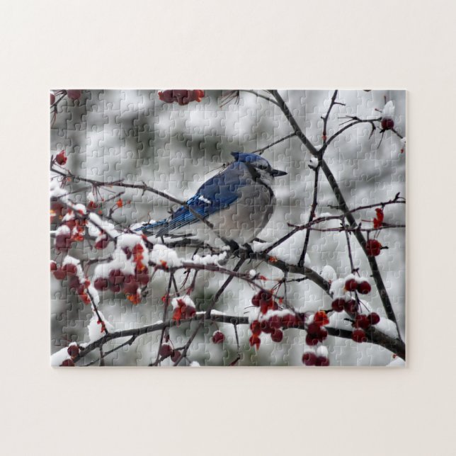 Winter Blue Jay Puzzle (Horizontal)