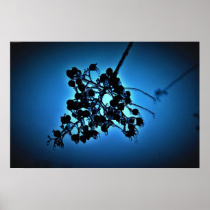 Winter Blue, Poster