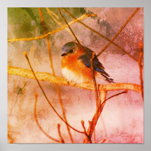 Winter Bluebird Abstrakt Grunge Poster