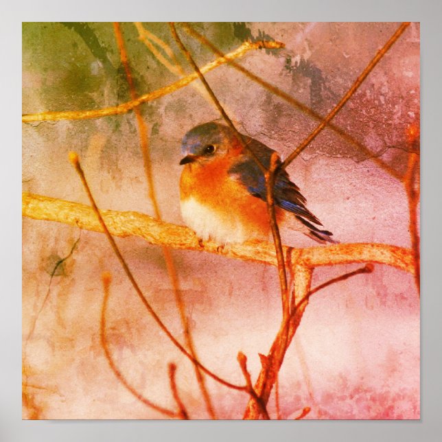 Winter Bluebird Abstrakt Grunge Poster (Vorne)