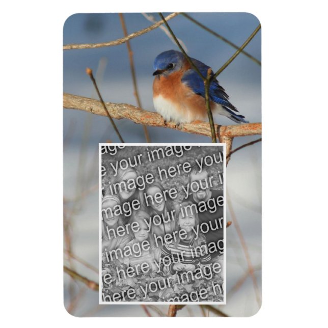Winter Bluebird Frame kreieren Ihr eigenes Foto Magnet (Vertikal)
