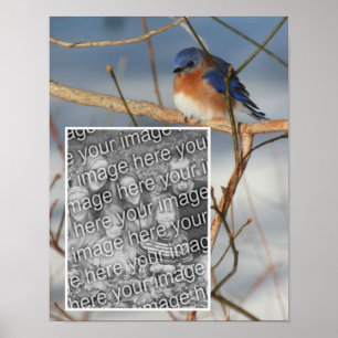 Winter Bluebird Frame kreieren Ihr eigenes Foto Poster