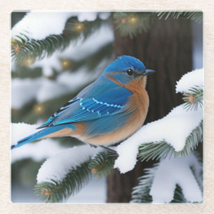 Winter Bluebird Glasuntersetzer