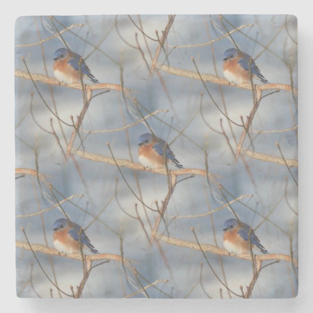 Winter Bluebird Nature Art Pattern Steinuntersetzer (Vorderseite)