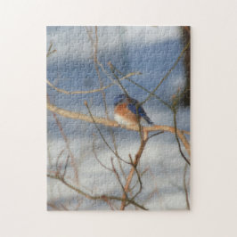 Winter Bluebird Nature Art Puzzle