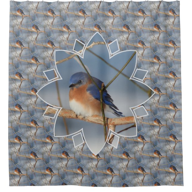 Winter Bluebird Nature Bird Art Pattern  Duschvorhang (Vorderseite)