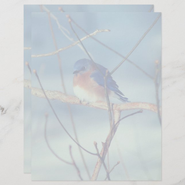 Winter Bluebird Nature Briefbogen (Vorne/Hinten)