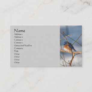 Winter Bluebird Nature Business Card Visitenkarte