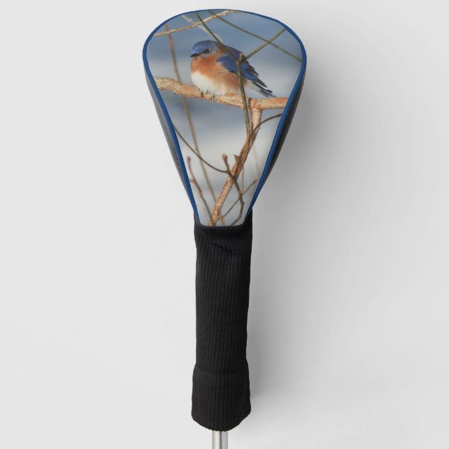 Winter Bluebird Nature Golf Headcover (Vorderseite)