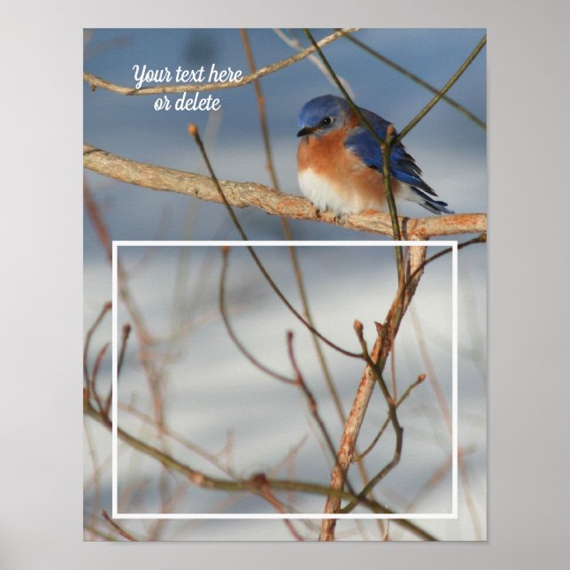Winter Bluebird Personalisiert Foto kreieren Poster (Vorne)