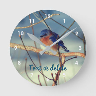 Winter Bluebird Personalisiert   Runde Wanduhr