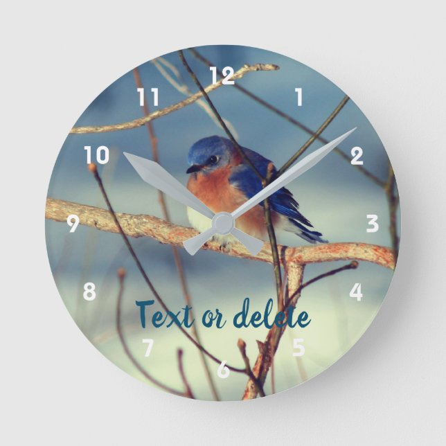 Winter Bluebird Personalisiert   Runde Wanduhr (Vorderseite)