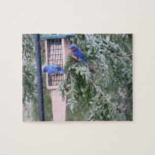Winter Bluebirds Puzzle