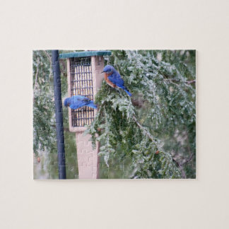 Winter Bluebirds Puzzle