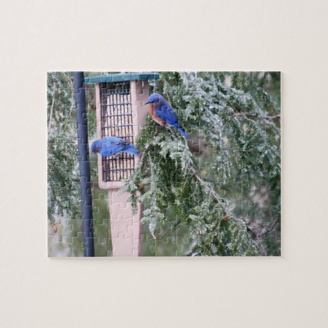 Winter Bluebirds Puzzle (Horizontal)