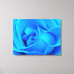 Winter Blues Rose Stretched Canvas Print Leinwanddruck