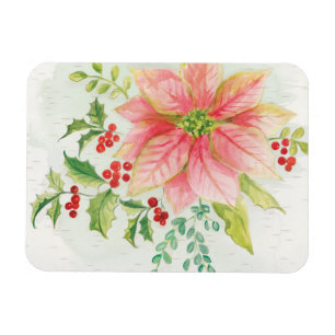 Winter blüht   rosa blühende Poinsettia Magnet