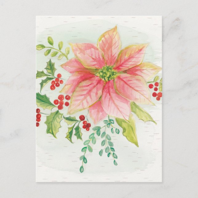 Winter blüht | rosa blühende Poinsettia Postkarte (Vorderseite)