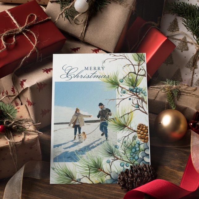 Winter Botanisches Foto Frohe Weihnachten (Von Creator hochgeladen)