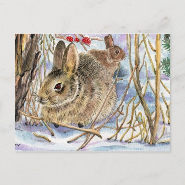 Winter Bunnies Postkarte (Vorderseite)
