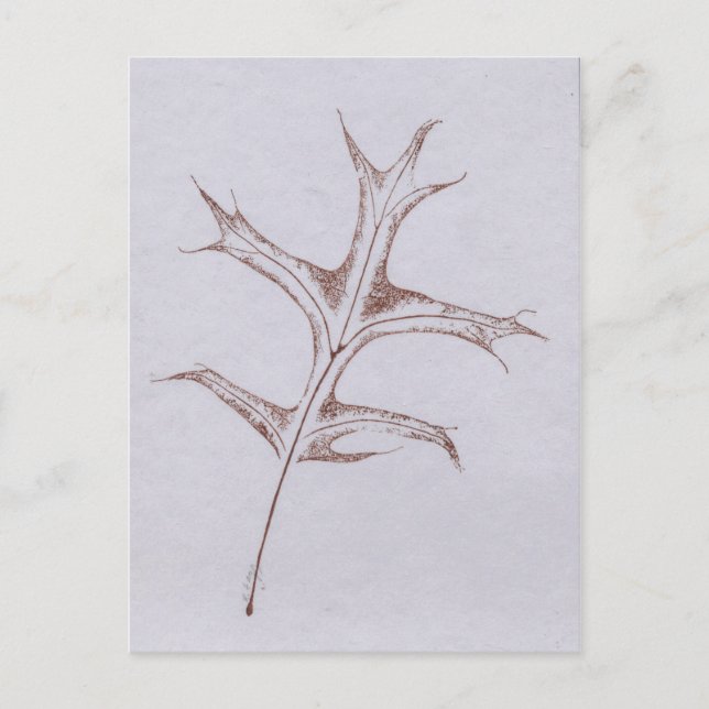 "Winter Button Oak" Landstraßen Postkarte (Vorderseite)