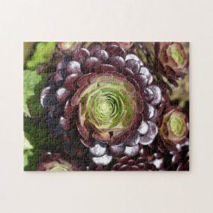 Winter Cabbage Blume Naturfotografie Garten Puzzle