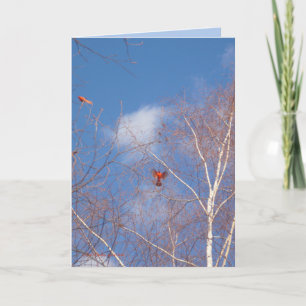 Winter Cardinals Karte