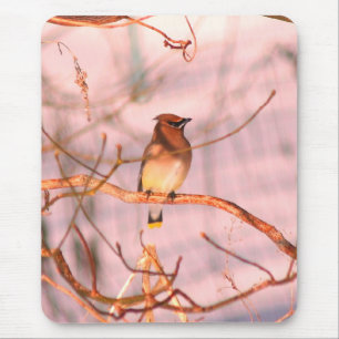 Winter Cedar Waxwing Wildlife Nature Mousepad