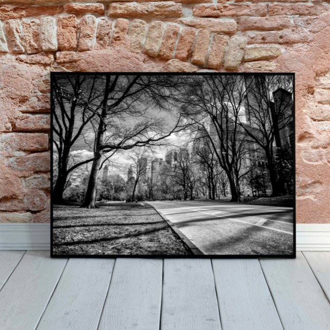 Winter Central Park New York City Black and White Poster (Von Creator hochgeladen)