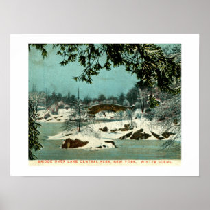 Winter, Central Park, New York City Vintage Poster