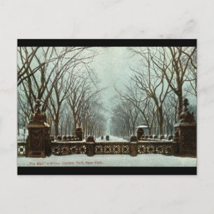 Winter Central Park NY Vintag c1910 Postkarte