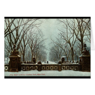 Winter Central Park NY Vintages c1910
