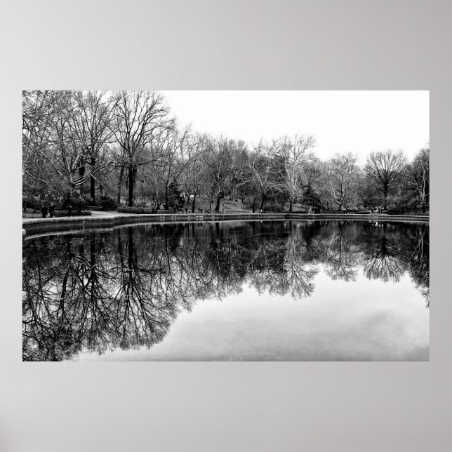 Winter Central Park, NYC Landschaft Poster (Vorne)