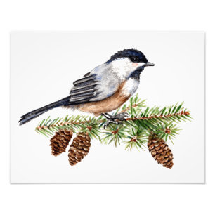 Winter Chickadee Fotodruck
