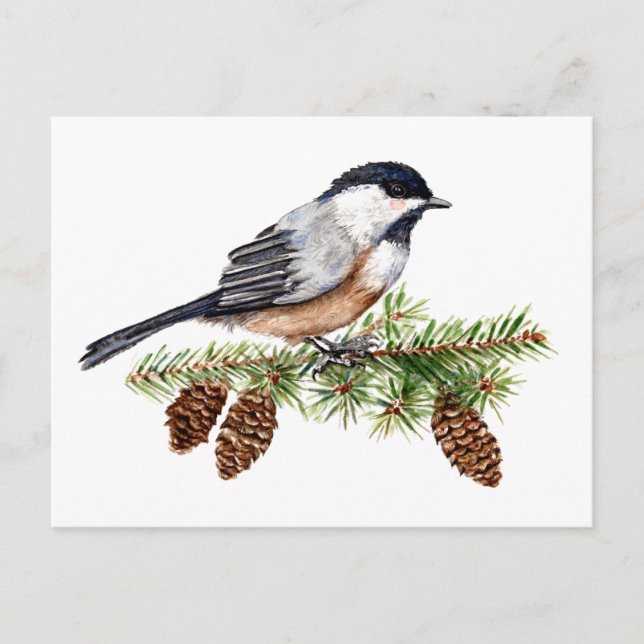 Winter Chickadee Postkarte (Vorderseite)