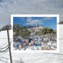 Winter, Chisos-Berge, Big Bend Nationalpark Postkarte