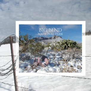Winter, Chisos-Berge, Big Bend Nationalpark Postkarte