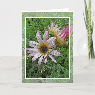 Winter Daisy Geburtstagskarte Karte