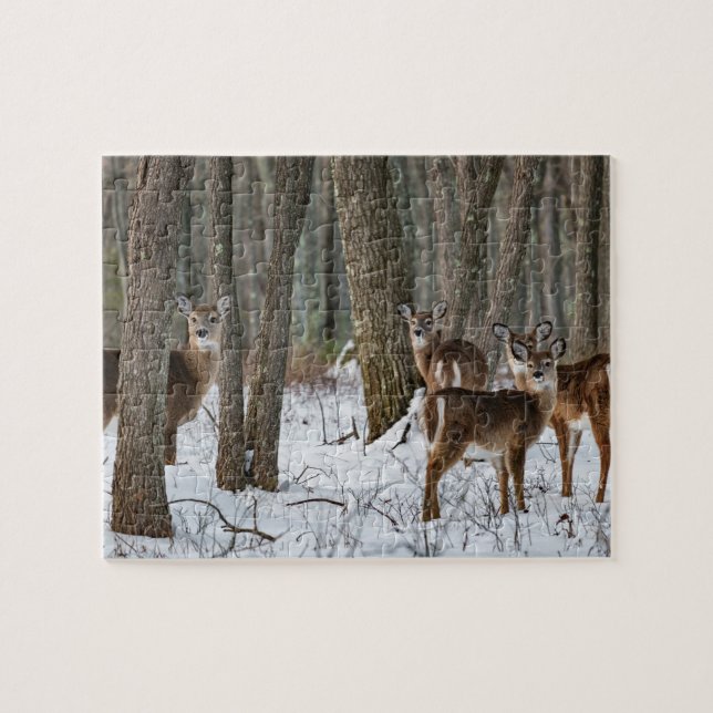 Winter Deer 10x8 herausfordernd Puzzle (Horizontal)