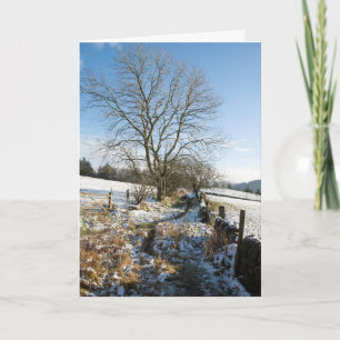Winter Die Macclesfield-Waldkarte Karte