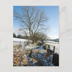Winter Die Macclesfield-Waldkarte Postkarte