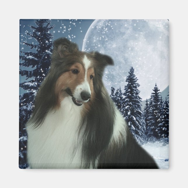 Winter Duncan Magnet (Vorne)